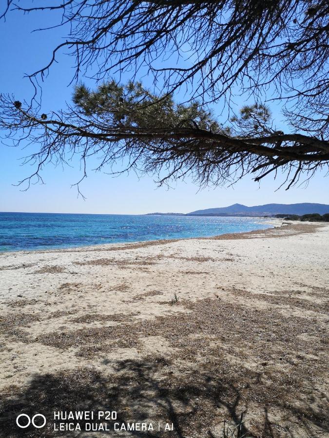 Casa Turquoise Blue Villa Porto Ottiolu Bagian luar foto