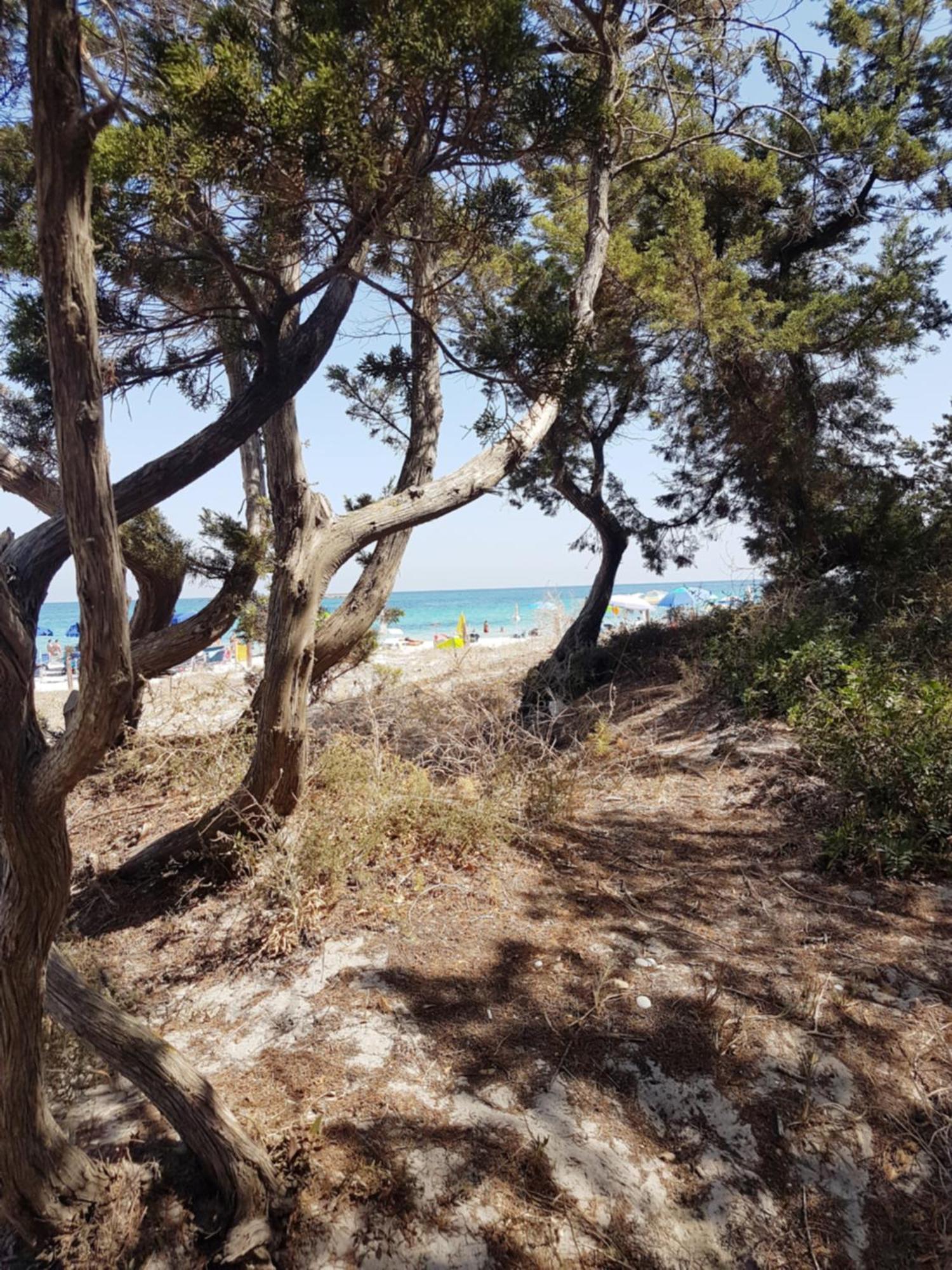 Casa Turquoise Blue Villa Porto Ottiolu Bagian luar foto